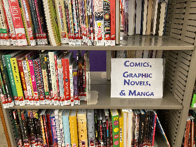 Graphic Novels Collection