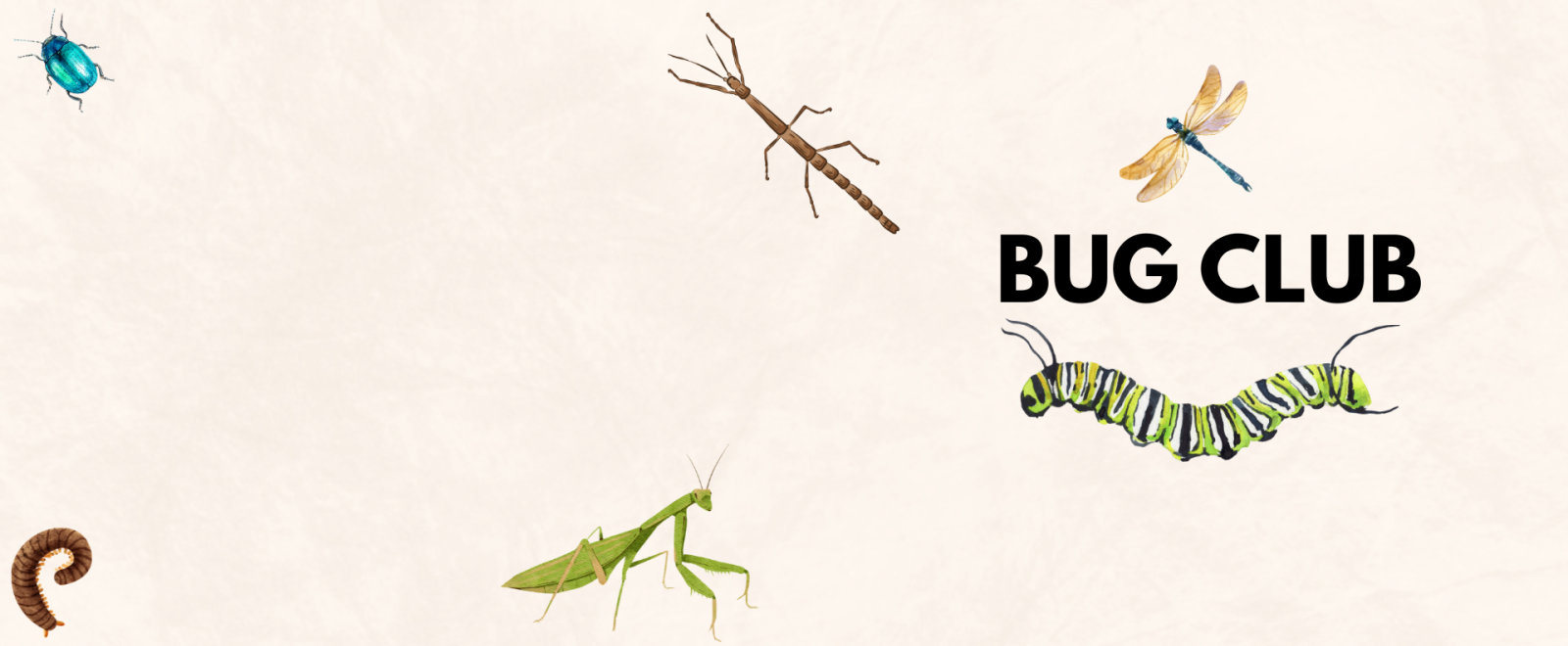bug club