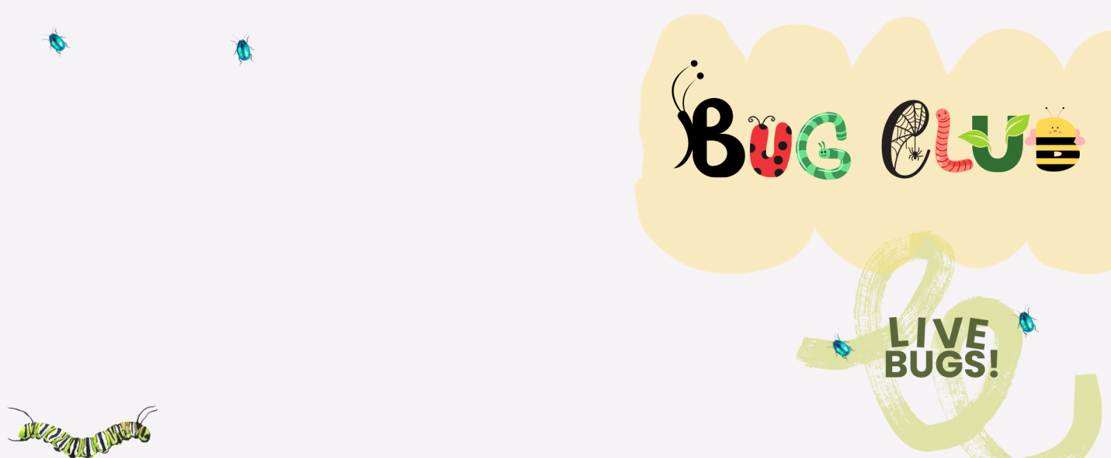 Graphic design image with caterpillar and text that reads "Bug Club. Live Bugs."