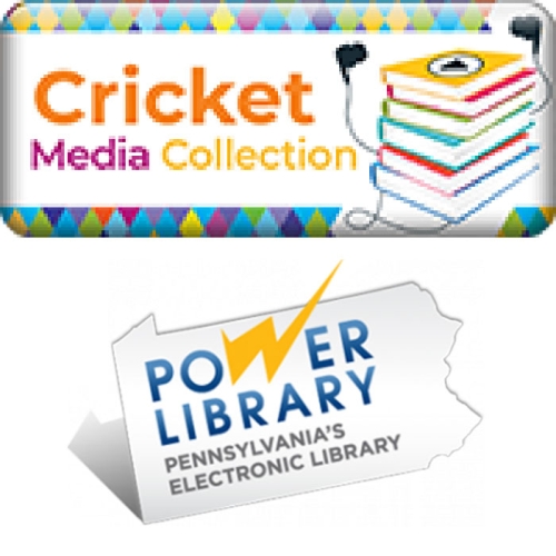 Cricket Media Collection